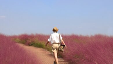 nature, woman, travelocity